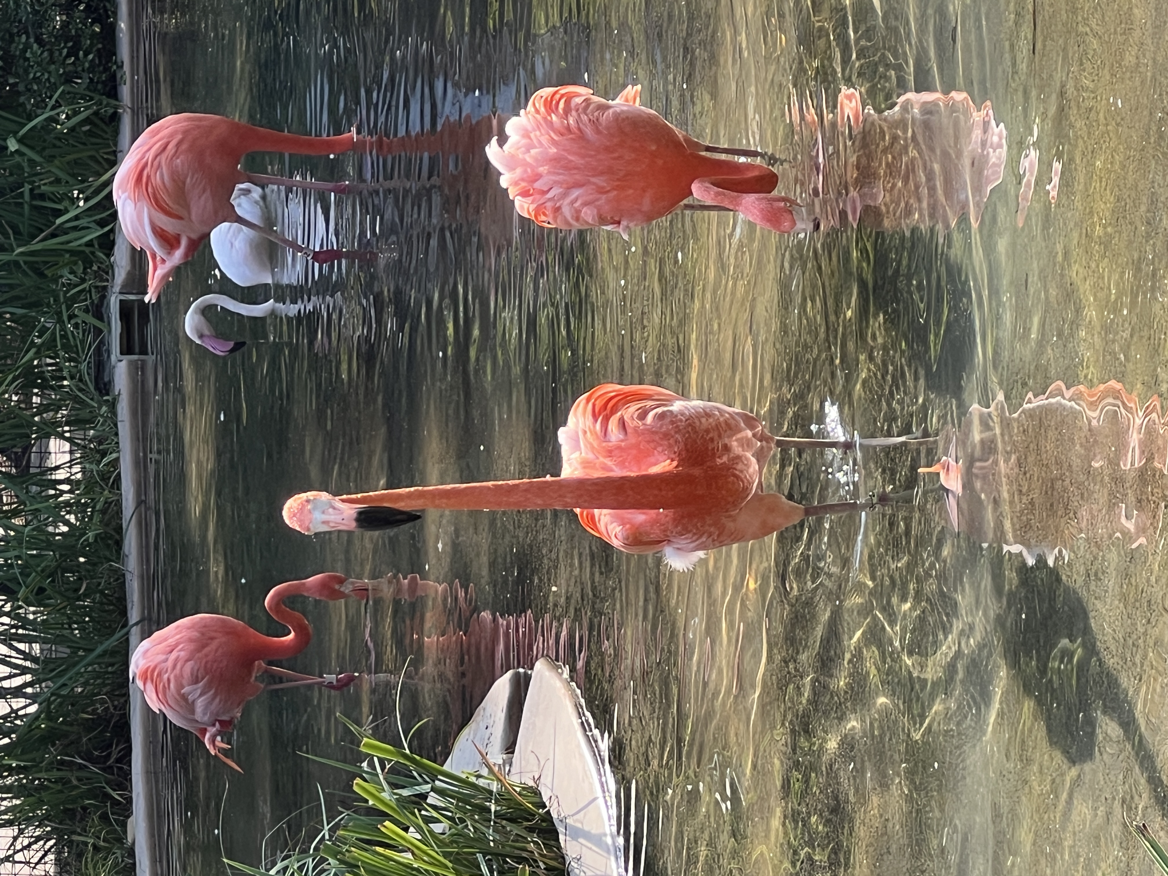 ./2025/11 - Nashville Trip/IMG_7224.JPG